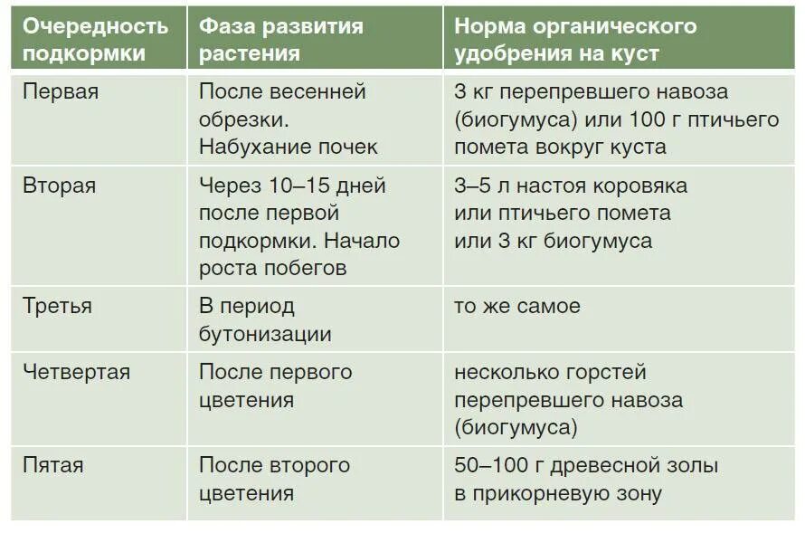 Таблица внесения удобрений для роз. Схема подкормки роз весной. Схема внесения удобрений для роз. Таблица подкормки и обработки роз.