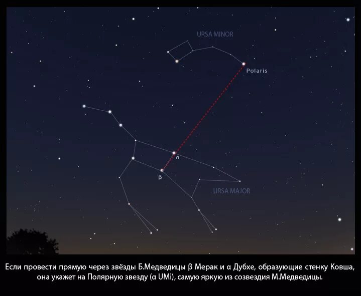 Большая и малая Медведица Полярная звезда. Созвездие малая Медведица и Полярная звезда. Полярная звезда по Ковшу большой медведицы. Полярная звезда в созвездии малой медведицы. Включи северную звезду