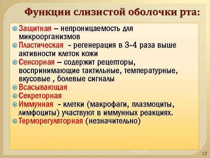 Особенности и функции оболочки. Функции слизистой оболочки полости рта. Основные функции слизистой оболочки полости рта. Функции слизистой оболочки. Защитные функции слизистой оболочки полости рта.