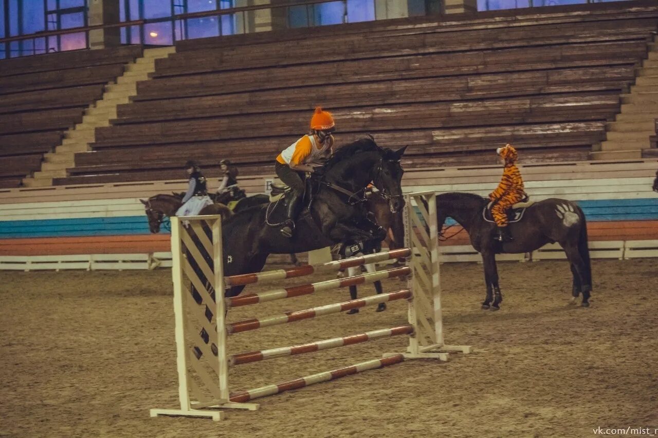 Кск обои. КСК equimall. Конно-спортивная школа Москва. Фаворит: Магнат конного спорта 2. Конно спортивная школа проект.