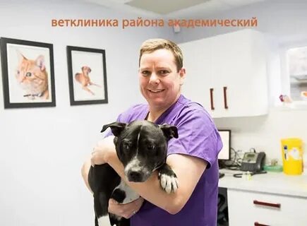 Ветеринарная академическая