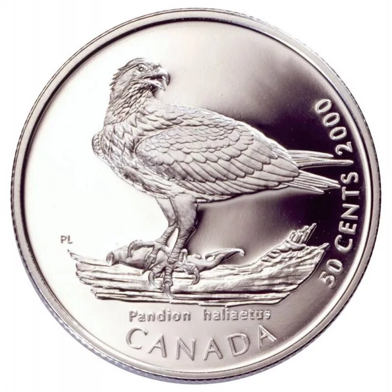 Серебряная монета 4. 50 Центов Канада 2000 Беркут. 50 Центов 2000 года Канада. Природа Канада монеты. Бабр серебряная Юбилейная монета.