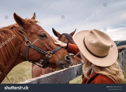 386.375 Horse Riding Bilder, Stockfotos und Vektorgrafiken Shutterstock