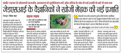 Articles about environment