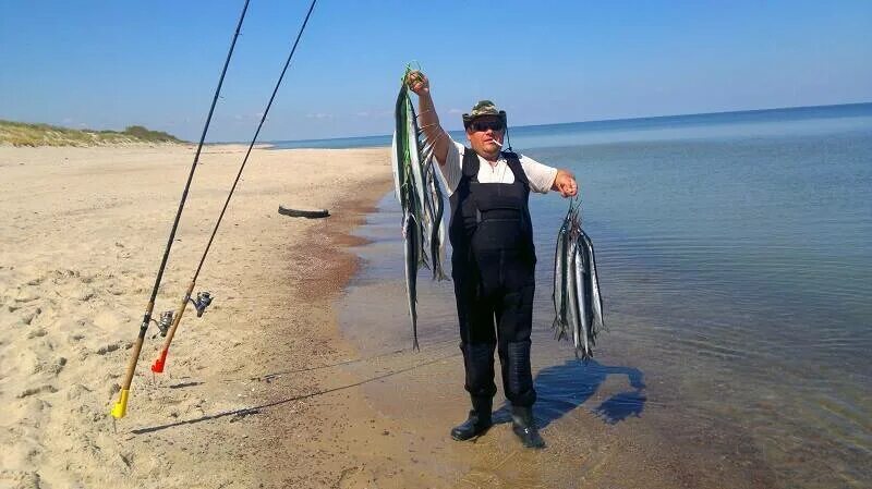 Ловля спиннингом черное море. Снасть для ловли саргана на черном море. Черное море лов саргана. Ловля саргана на черном море с берега. Сарган Черноморский.