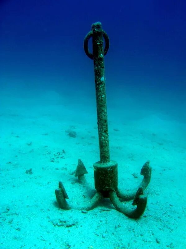Sea anchor