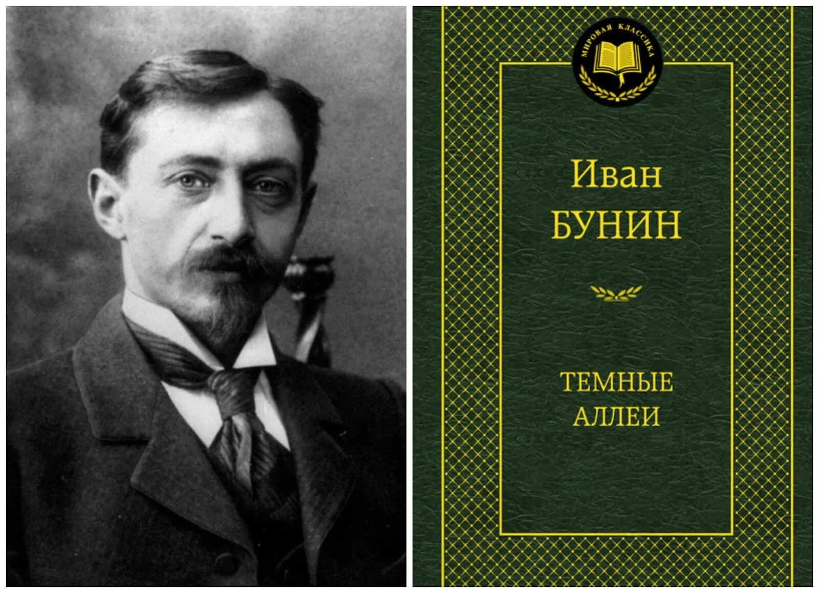 Бунин т. Иван бунин. &quot;темные аллеи&quot; ивана бунина. бунин иван обложка. иван бунин книги.