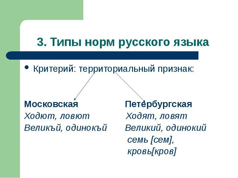 Критерии литературного языка. Нормы русского языка. Критерии нормы в русском языке. Нормы современного литературного языка. Какие нормы русского языка