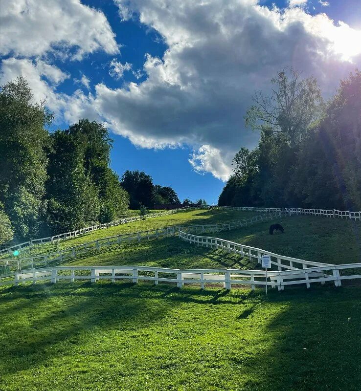 загородный клуб зеленое озеро. зеленое озеро загородный клуб. загородный клуб зеленое озеро. зеленое озеро дмитровский район ресторан. зелёный островок нижний новгород.