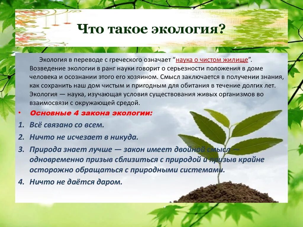 Ecology перевод. Экология презентация. Что такое экология кратко. Презентация на тему экология. Доклад на тему экология.