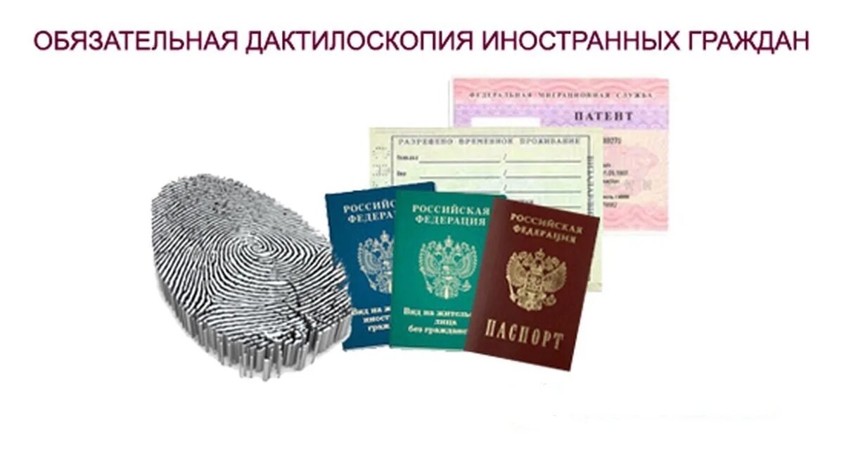 Патент иностранцы 2025