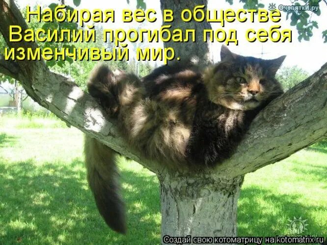 Не стоит прогибаться мир. Пусть этот мир прогнется под нас фото. не прогибайся под изменчивый мир пусть лучше он прогнется под нас. изменчивый мир мем. прогибаться под.