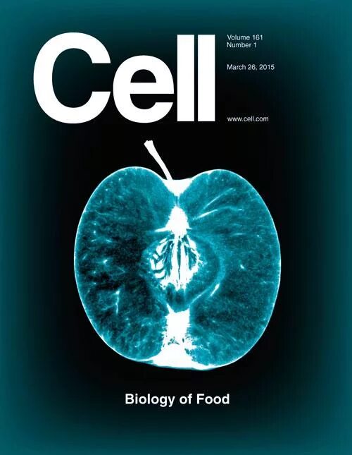 J cell biol. Обложка журнала nature. biology journal. джин biology. cell journal.