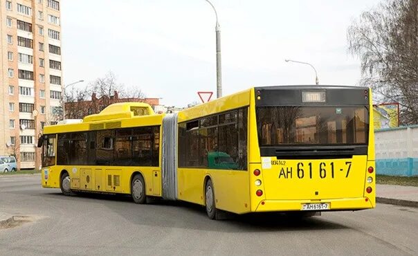 Маршрут 100 маршрутки. Маз-215.м69. маз 215.169. маз 215.169 протон бас симулятор. маршрут 100.