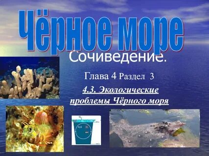 Проблема черного