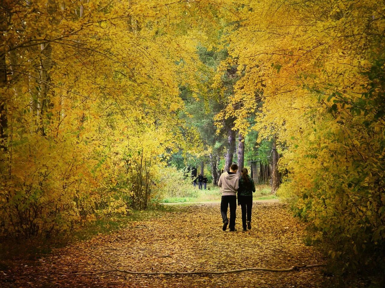 Гулять по аллее. Прогулка по осеннему парку. Осень двое. Осенний парк прогулка. Осень парк двое.