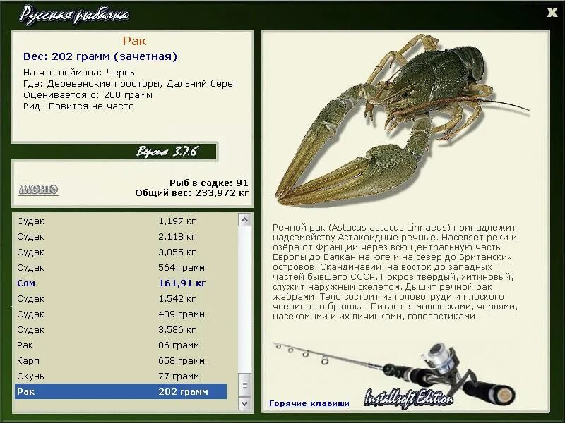 рачки размер. какие бывают размеры раков?. шипастый перевод. т25 рачок. вес рака.