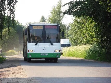 Автобус лотошино