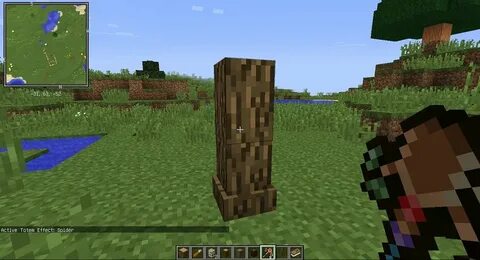 Totemic