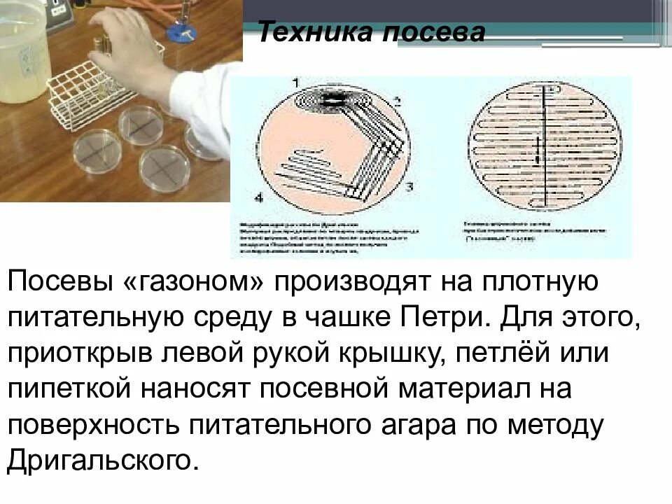 Методы посева на чашки Петри. Посев на питательные среды. Способы посева на питательные среды. Посев на плотные среды.