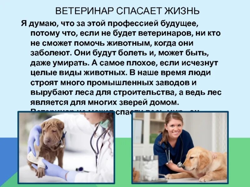 Профессия ветеринар. Рассказать о профессии ветеринар. Ветеринар презентация. Ветеринар картинки для презентации. Почему становятся ветеринарами