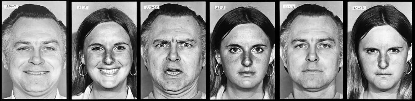 Проблема эмоционального целеобразования. Эксперимент эмоции. Эксперимент эмоции. Эксперимент эмоции. Эксперимент эмоции.