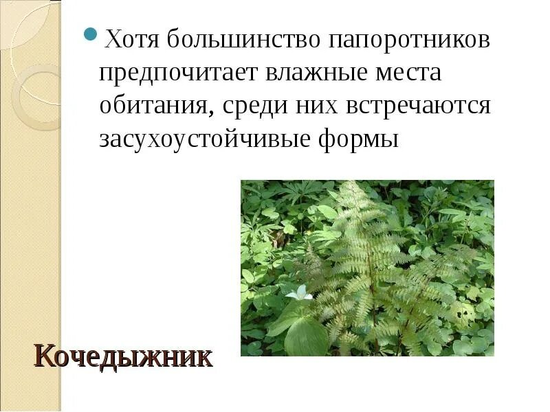 Третьеиюньская политическая система 1907-1914. Хотя в большинстве своем. Хотя в большинстве своем. Хотя в большинстве своем. Хотя в большинстве своем.