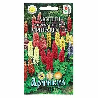 Люпин аромат