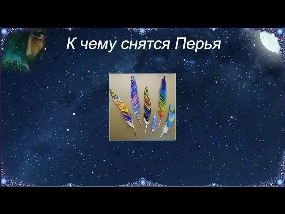 Сонник видеть птиц. Сонник видеть птиц