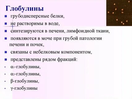 Гамма белки