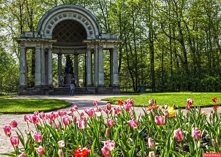 В каком парке погулять в спб