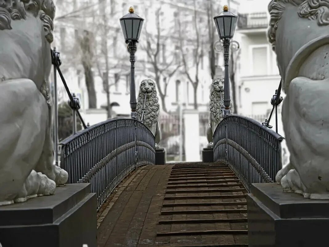 Львиный мостик в санкт петербурге. Львиный мост смелов. львиный мостик. львиный мостик на фоне дерева. львиный мостик раньше.