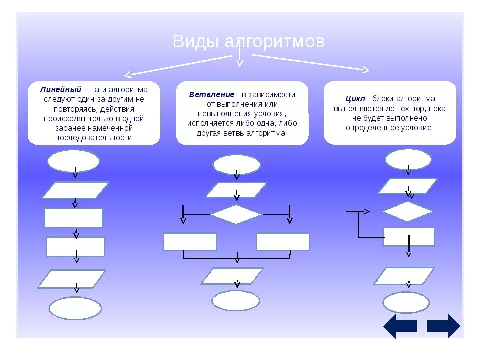 Алгоритмы информатика доклад