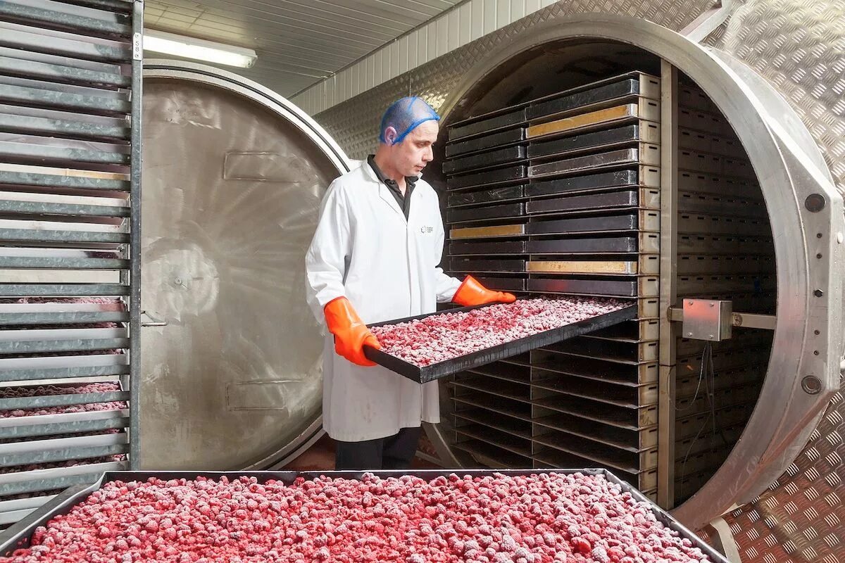 Пюре плодово-ягодные сублимационной сушки. Технология сублимационной сушки. Сублимированная сушка это. Вакуумная лиофильной сушки. Сублимированная сушка это.