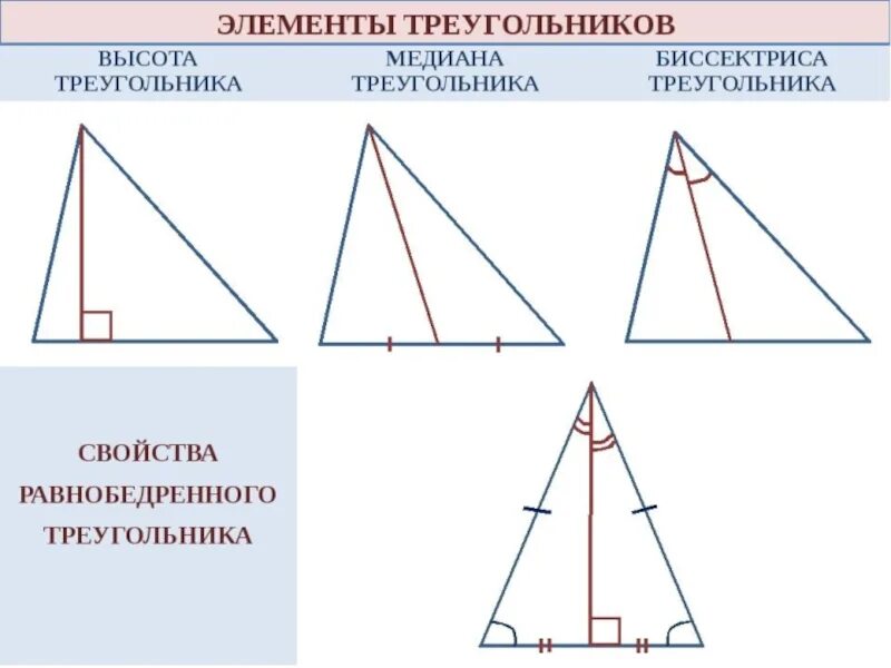 Вершины медианы биссектрисы. Медиана биссектриса и высота треугольника 7 класс. Треугольники высота Медиана биссектриса треугольника 7 класс. Медиана биссектриса высота 7 класс. Рисунок Медианы биссектрисы и высоты треугольника.