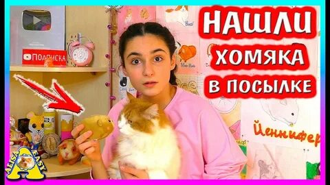 Хомяки алиса изи