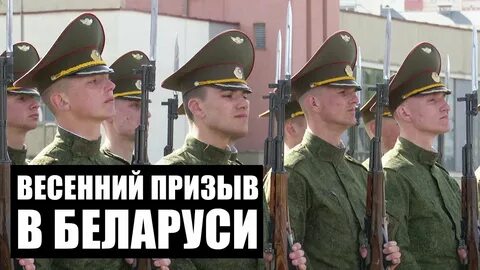 Сроки призыва рб