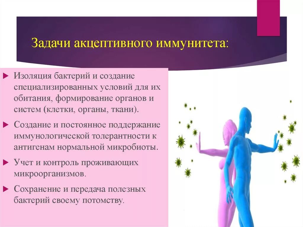 Задачи иммунной системы. Задачи иммунитета. основная задача иммунитета. акцептивный иммунитет.