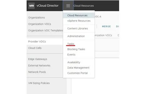Cloud director