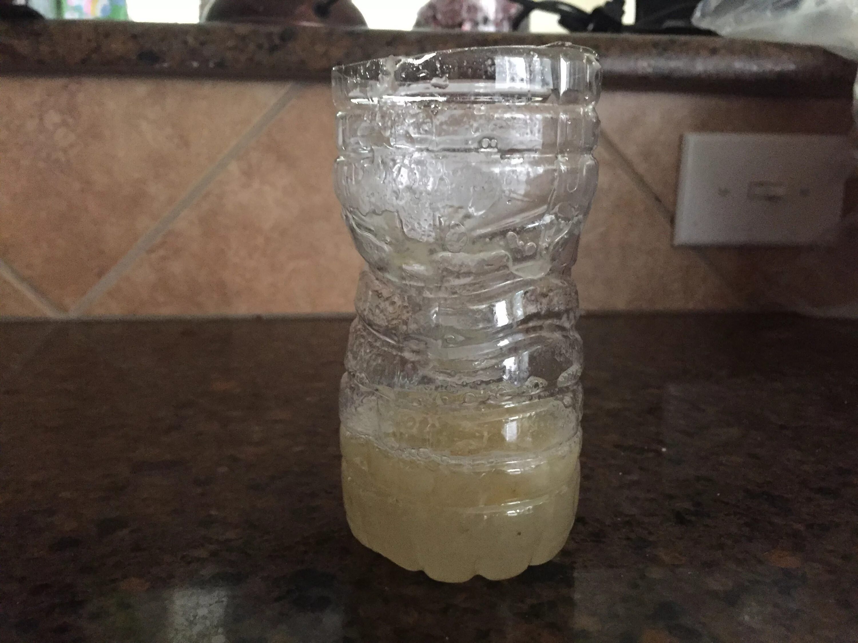 ловушка для дрозофил. ловушка для мух из бутылки. ловушка для ос на бутылк. ловушка для мух из бутылки. ловушка для ос из пластиковой бутылки.