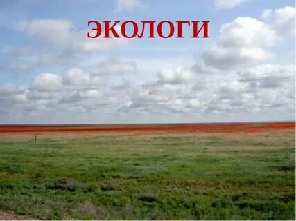 Зона степей охрана природы