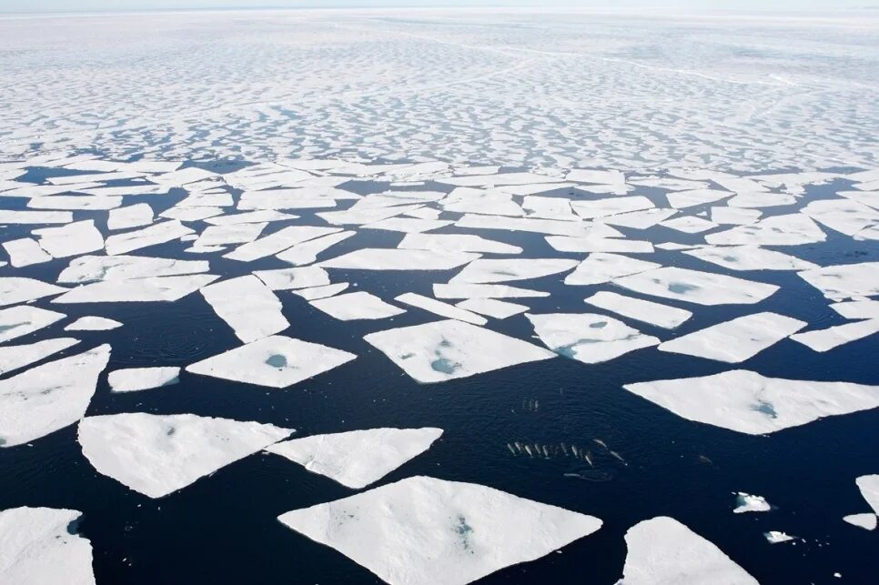 Ледяной Покров Северного Ледовитого океана. Северный Ледовитый океан площадь льдов Арктики. Ледяной Покров Арктики. Глобальное потепление в Арктике. Северный океан 9