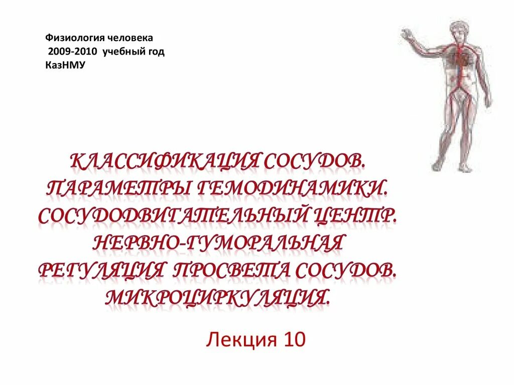 Функции физиологии человека. Физиология человека. физиология человека человека. общая физиология человека. физиология человека фото.