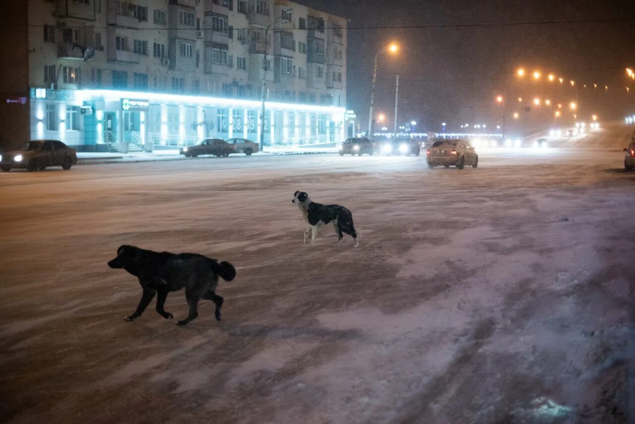 Почему вчера ночью. Астрахань ночью. ферганская 15 снег ночь. страшная зимняя ночь в дагестане.