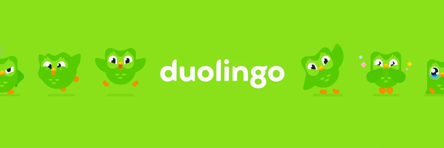 Https duolingo com. Дуолинго. Duolingo Сова. Дуолинго логотип. Duolingo.com английский.