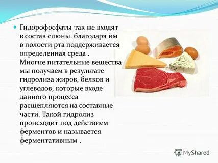 Роль гидролиза в живых организмах