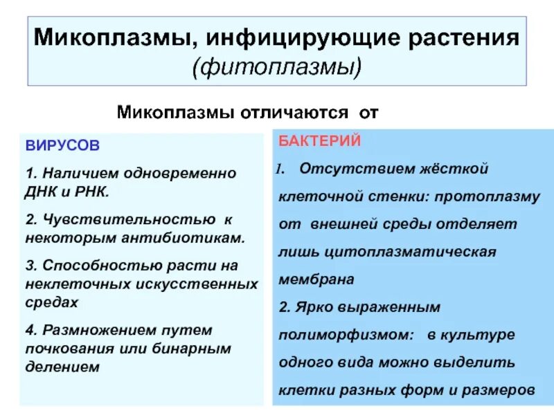 Как отличить л. Микоплазмы сходство с вирусами и бактериями. Микоплазмы отличаются от вирусов. Микоплазмы отличаются от большинства бактерий. Микоплазмы сходство с вирусами.