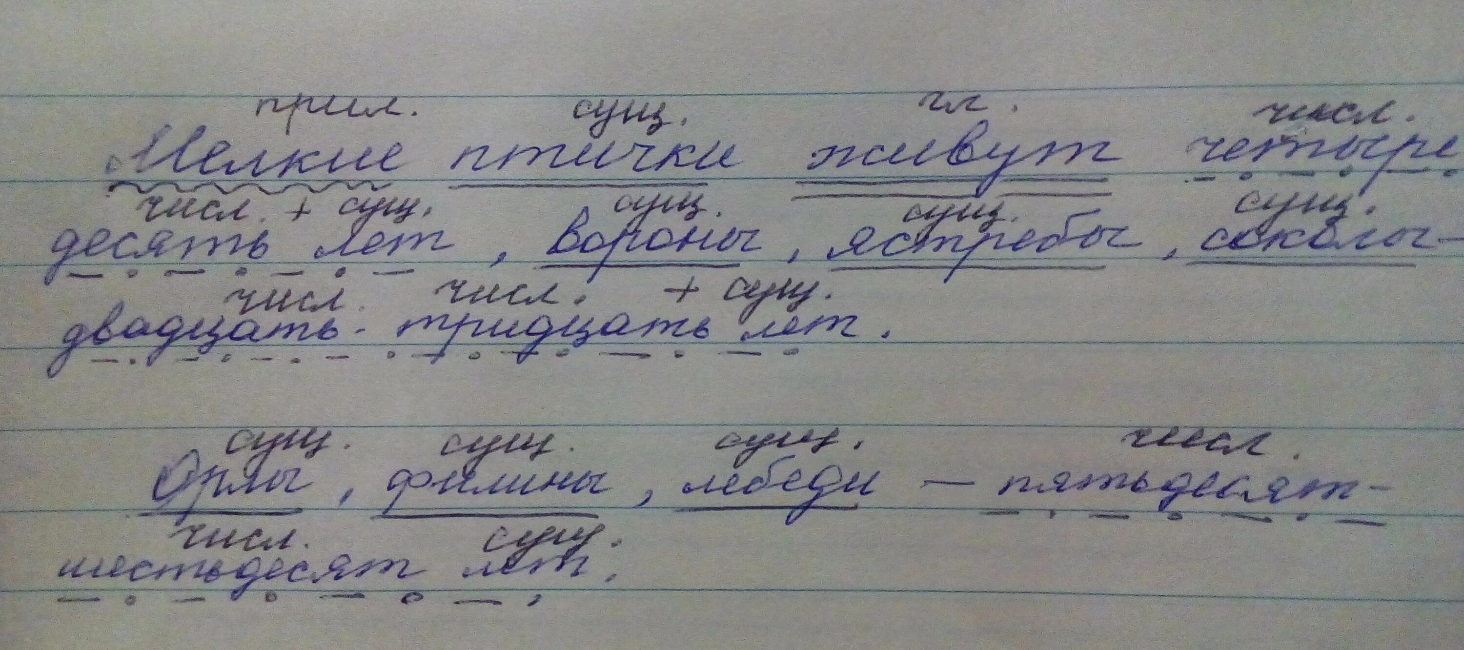 Синтаксический разбор птицы. Синтаксический разбор предложения мелким птицам. Ястреб синтаксический разбор. Разбор предложения мелкие птички живут. Мелкие птички живут четыре десять лет.