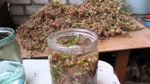 Настой колонку