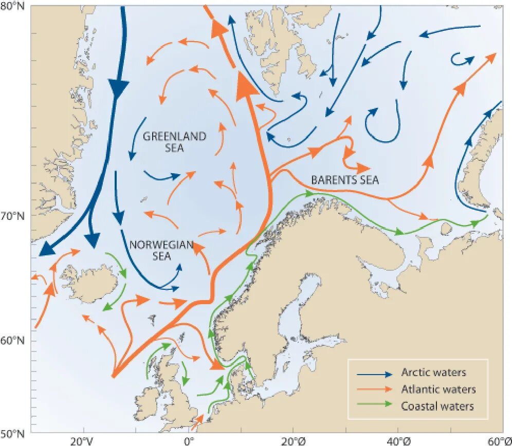 Схема течений Баренцева моря. Течение Гольфстрим в Баренцевом море. Течения норвежского моря. Норвегия Гольфстрим теплое течение. Теплое течение ледовитого океана